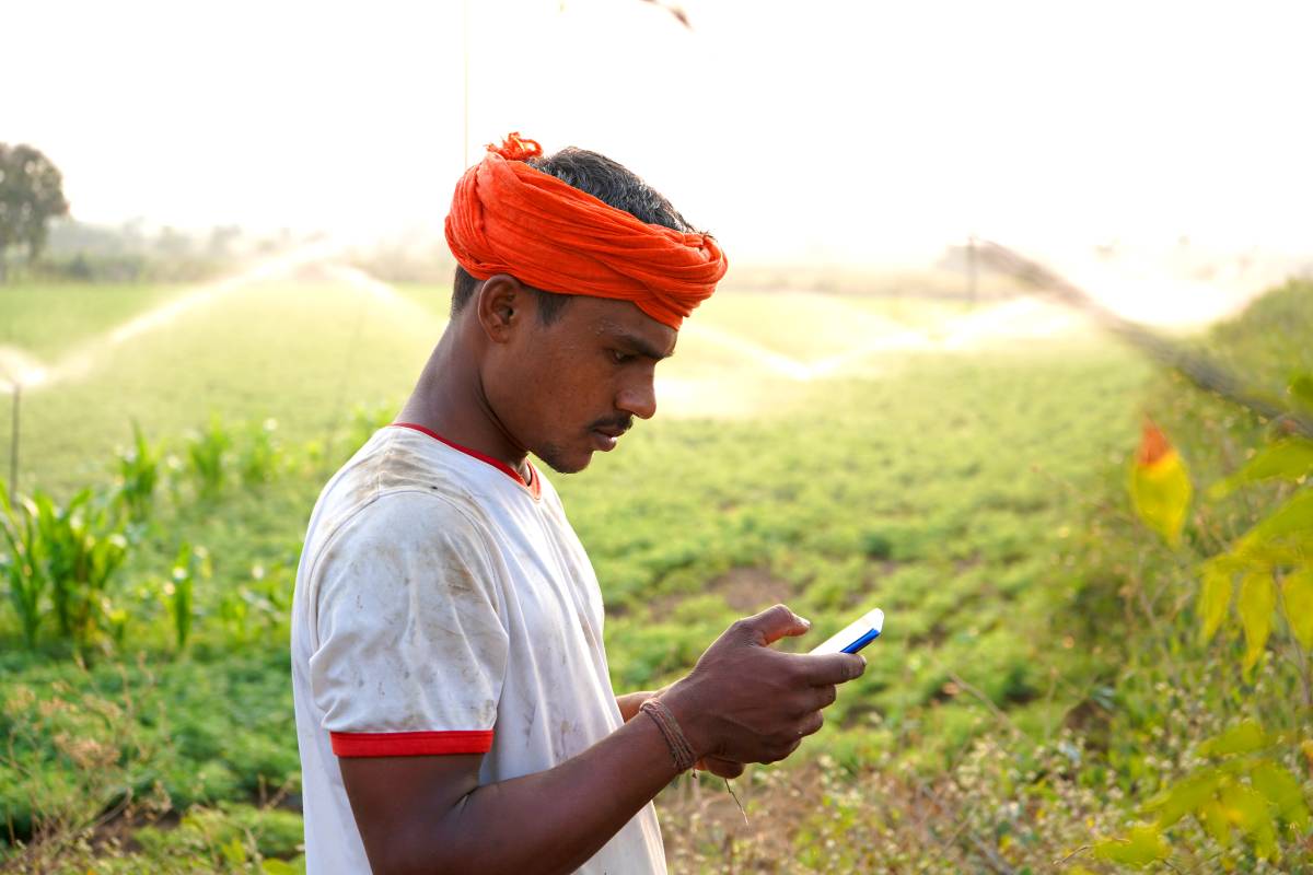 Farmer using mobile at green chickpea field